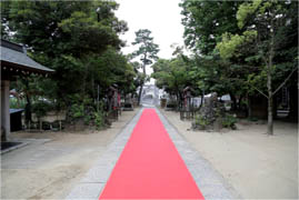 写真: 菊だ神社の参道